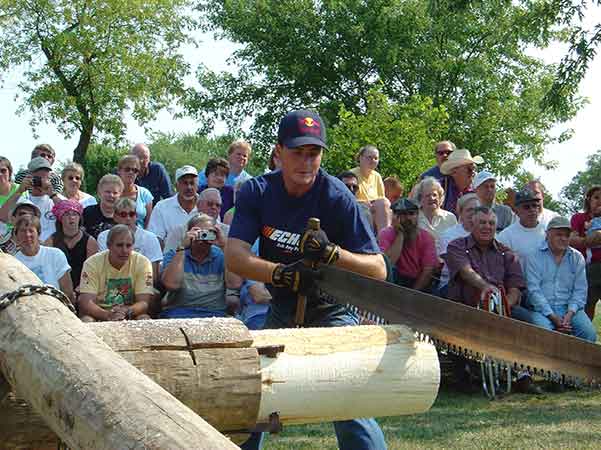 Cross Cut Saw